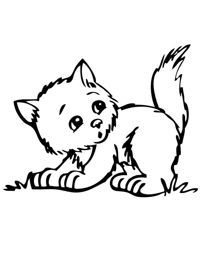 Kitten Coloring Pages Printable Free