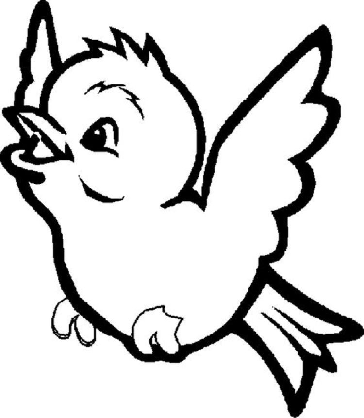 Bird Coloring Pages For Toddlers
