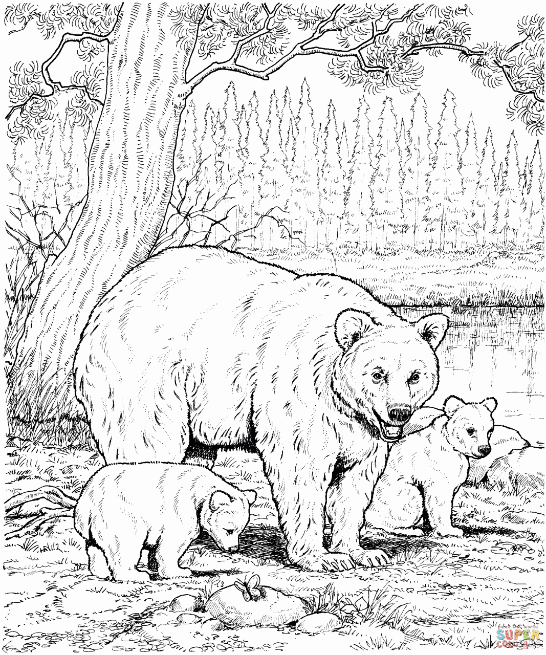 Free Coloring Pages Animals