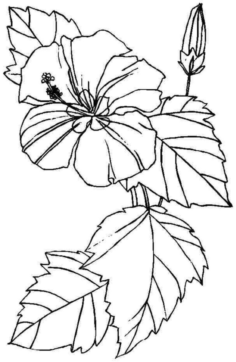 Flowers Coloring Pages To Print