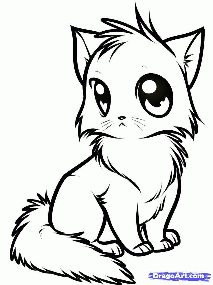 Kitten Coloring Pages Cute