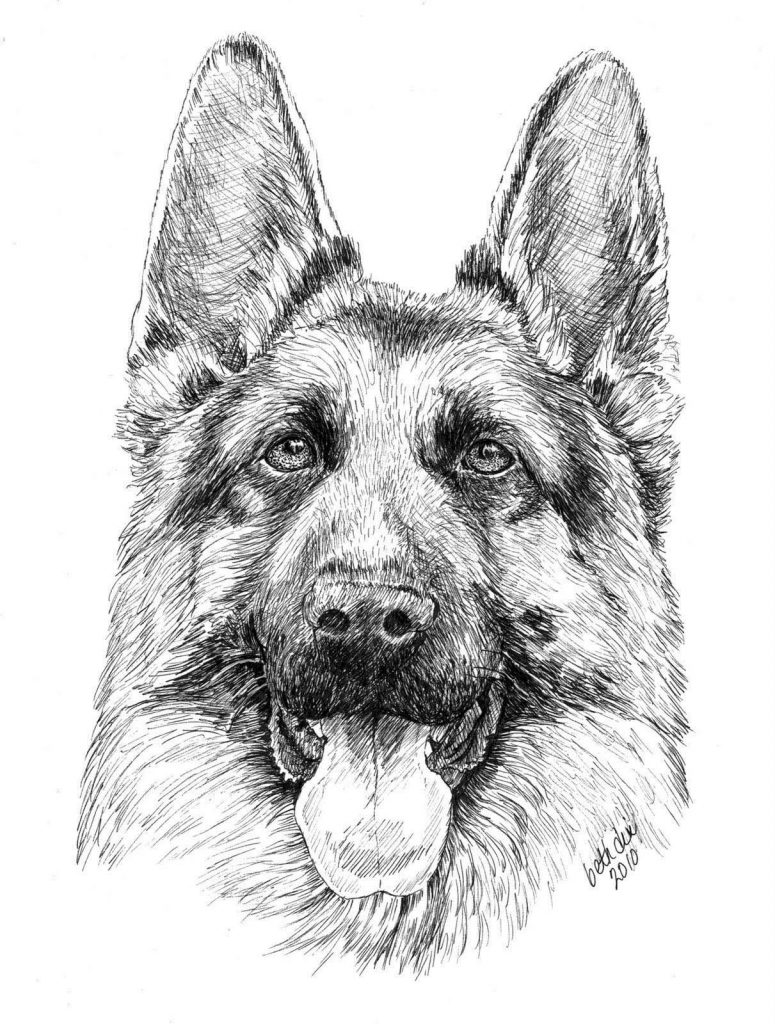 Dog Coloring Pages Realistic
