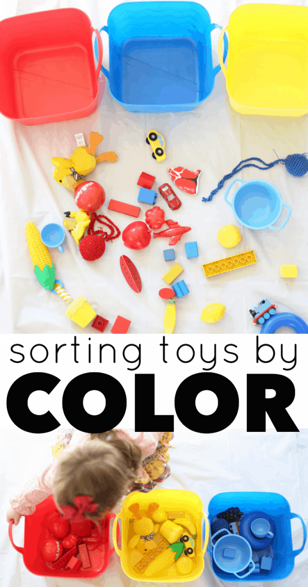 Color Sorting Lesson Plan