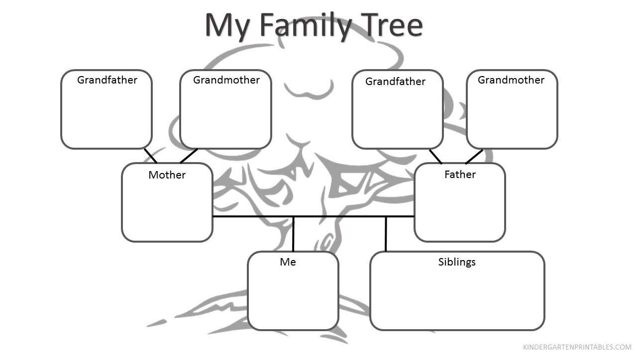Family Tree Worksheet For Kindergarten Pdf