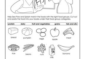 Printable Food Worksheets For Grade 1
