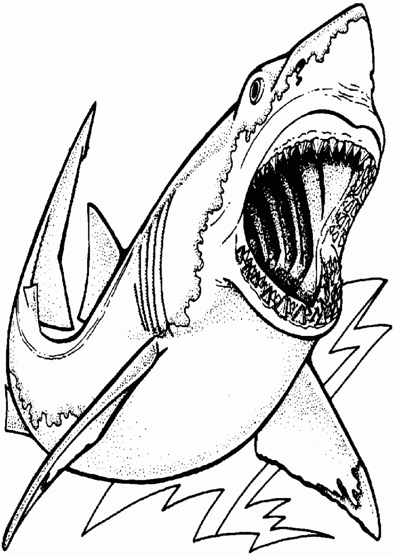 Shark Coloring Pages For Toddlers