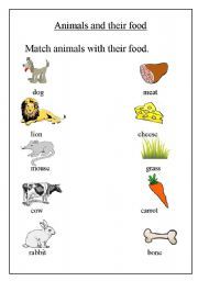 Animals Food Worksheet For Grade 3