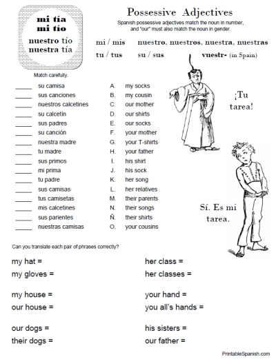 Possessive Adjectives Spanish Worksheet Pdf