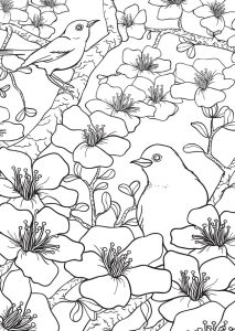 Freebie Spring Birds and Flowers Coloring Page Stamping