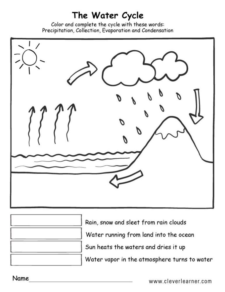 Water Cycle Diagram Worksheet Answers