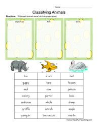 Classification Of Animals Worksheet For Grade 1