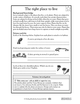Science Worksheets For Grade 5 Plants