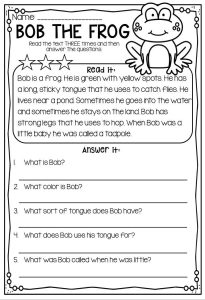 Reading Comprehension Passages First Second Grade Reading