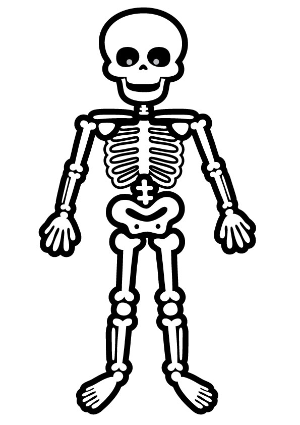 Skeletal System Coloring Pages