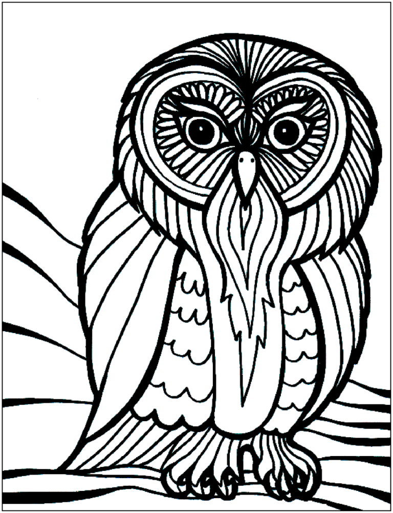 Bird Coloring Pages Free Printable