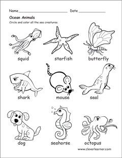 Water Animals Worksheet For Kids