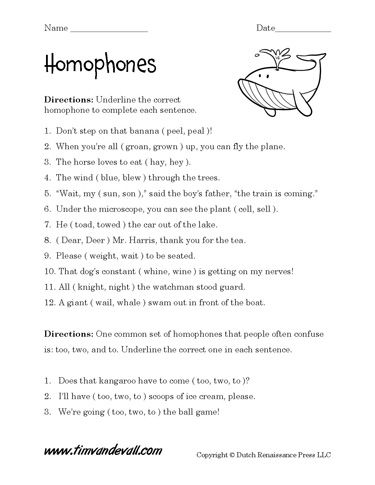 Grade 3 Homophones Worksheets With Answers