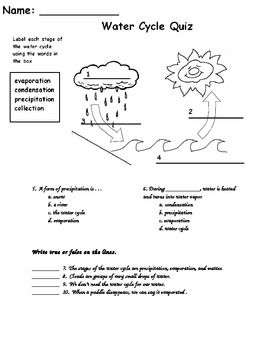 Quiz Water Cycle Worksheet 3rd Grade