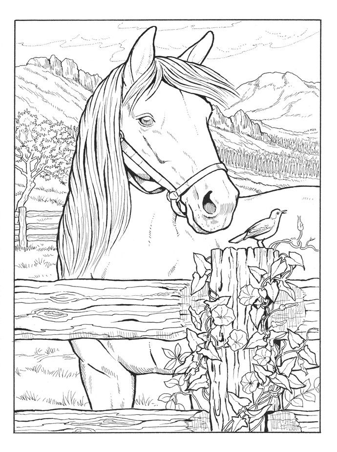 Horse Coloring Pages Hard