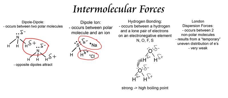 Polarity And Intermolecular Forces Worksheet Answers