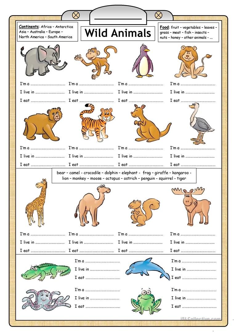 Printable Wild Animals Worksheets For Grade 2