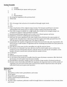 50 Ecological Relationships Worksheet Answers Chessmuseum Template