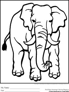 Endangered Animals Coloring Pages at Free printable