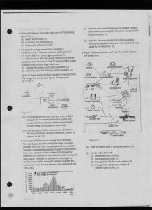 Energy Flow In Ecosystems Energy Flow Worksheet Answers —