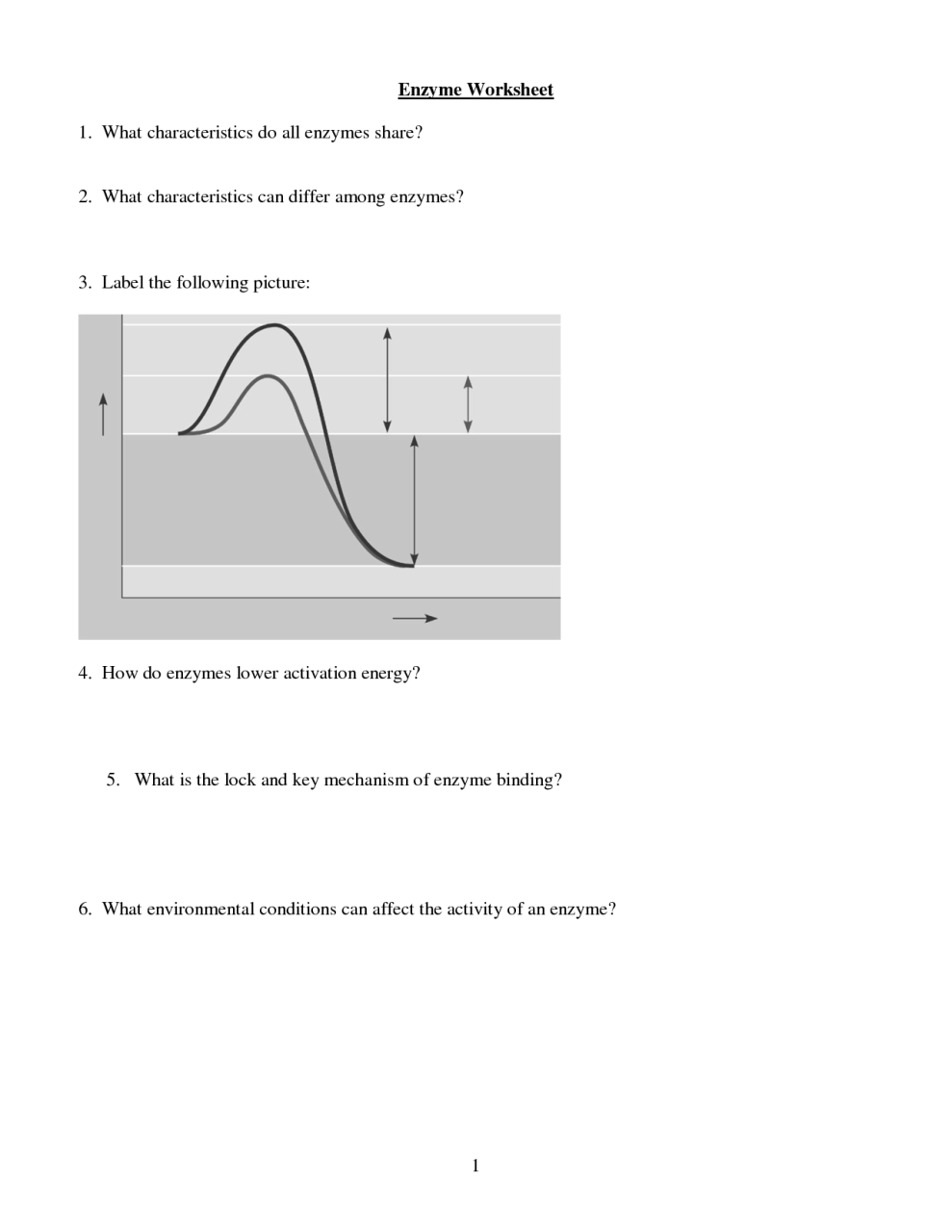 12 Best Images of Enzyme Graph Worksheet Enzymes Temperature