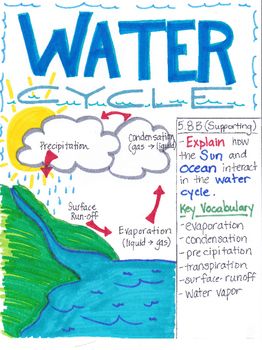 5th Grade Vocabulary Water Cycle Worksheet