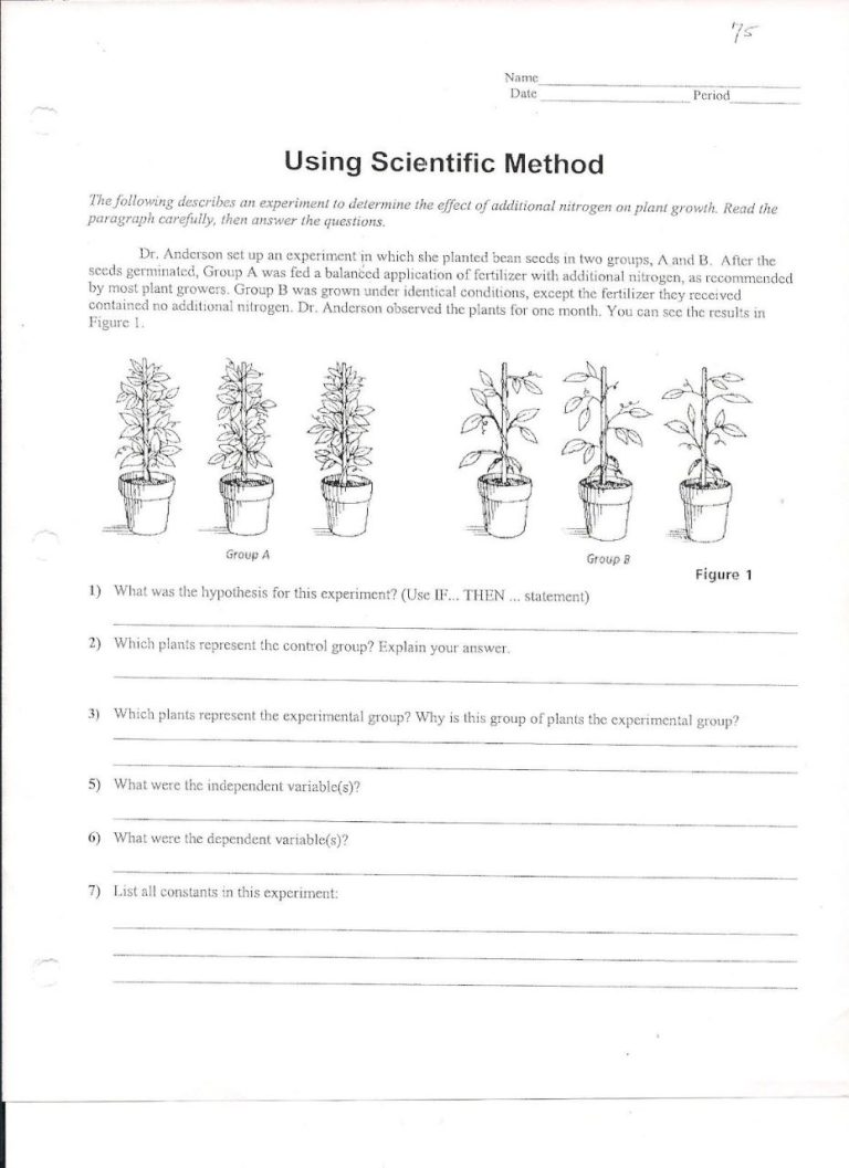 Scientific Method Worksheet Answer Key Biology