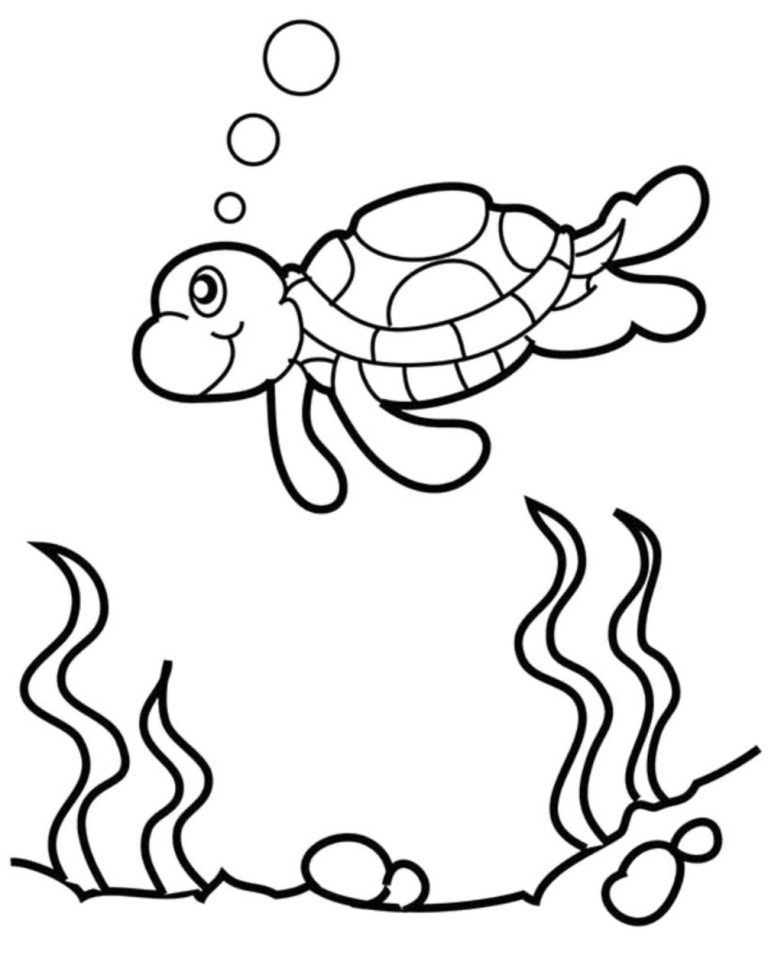 Turtle Coloring Pages Parking