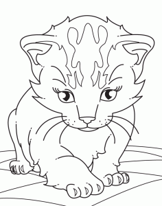 Realistic Kitten Coloring Page Images & Pictures Becuo Cat coloring