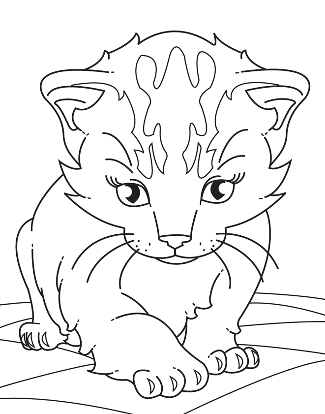 Kitten Coloring Pages Realistic