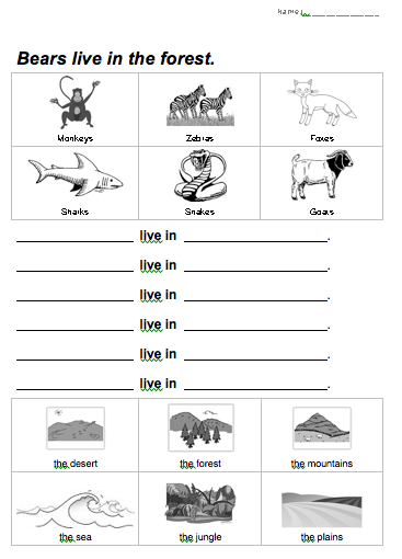Habitat Of Animals Worksheet For Grade 1