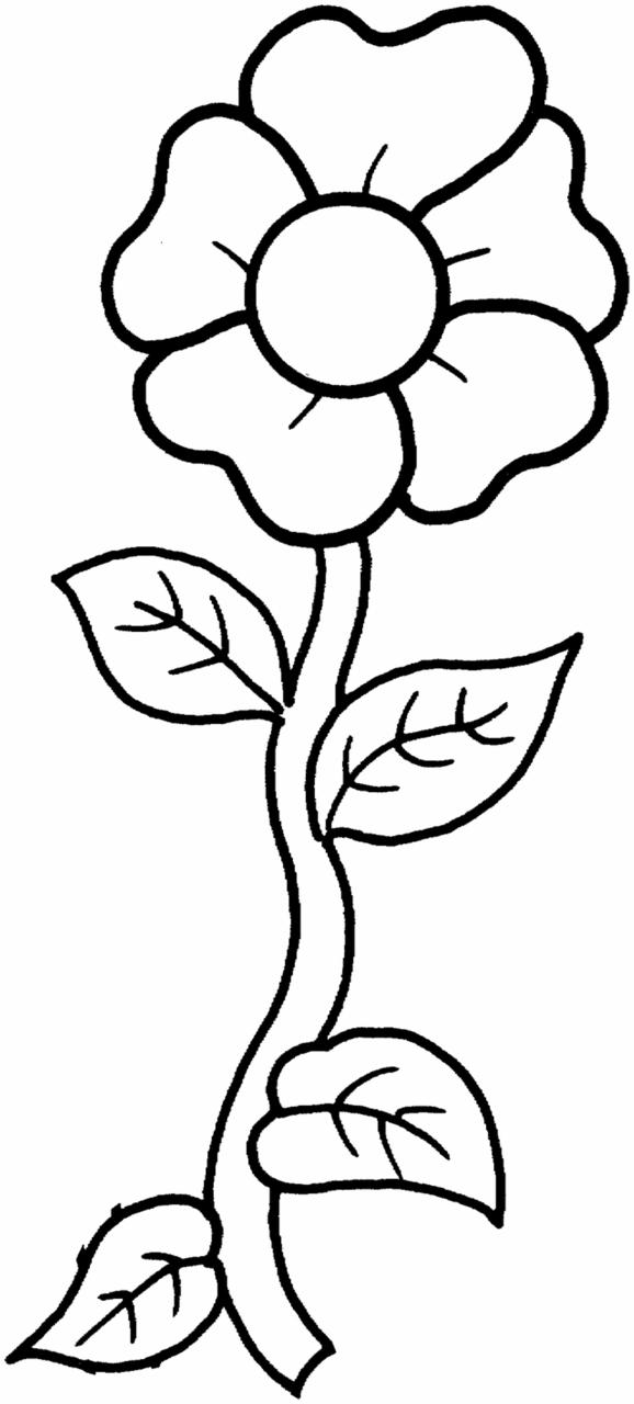 Flowers Coloring Pages Free Printable