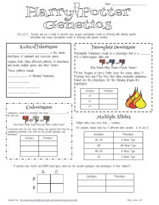 30 Genotypes and Phenotypes Worksheet Answers Education Template