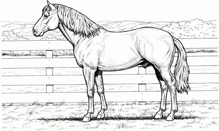 Horse Coloring Page Free Printable