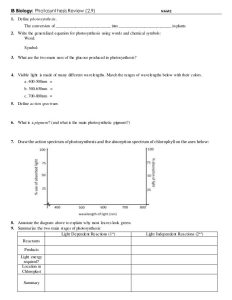 Fun Practice and Test Photosynthesis Worksheets For High School