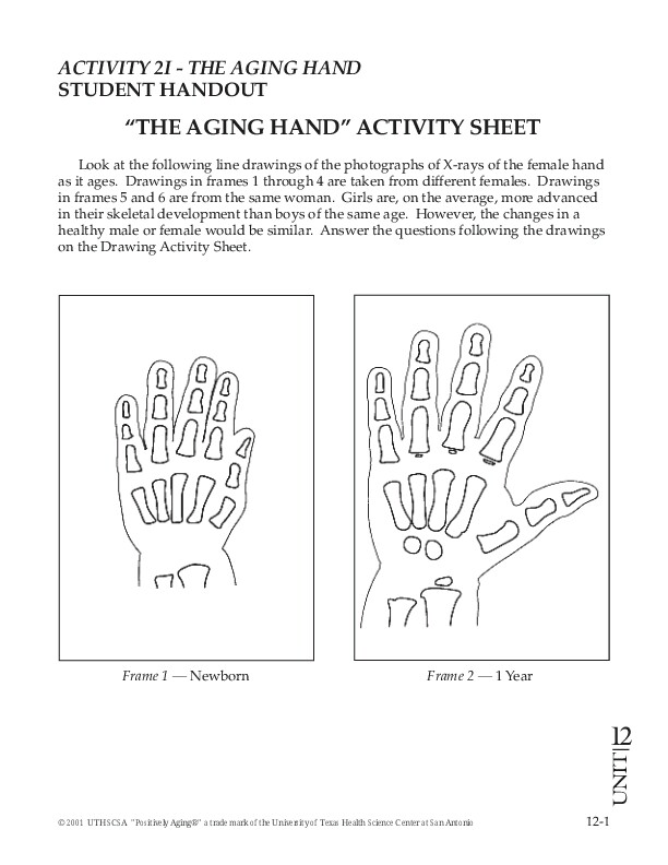 The Aging Hand Color Sheet Answers