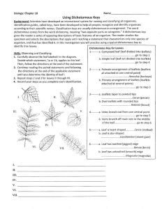 Practice With Taxonomy And Classification Worksheet Answer Key + My PDF