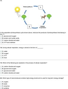 Macromolecules Worksheets 2 Answer Key