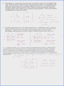 Monohybrid Cross Answer Key Monohybrid Crosses Practice Worksheet