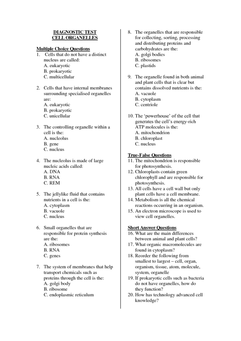 Multiple Meaning Worksheets Free