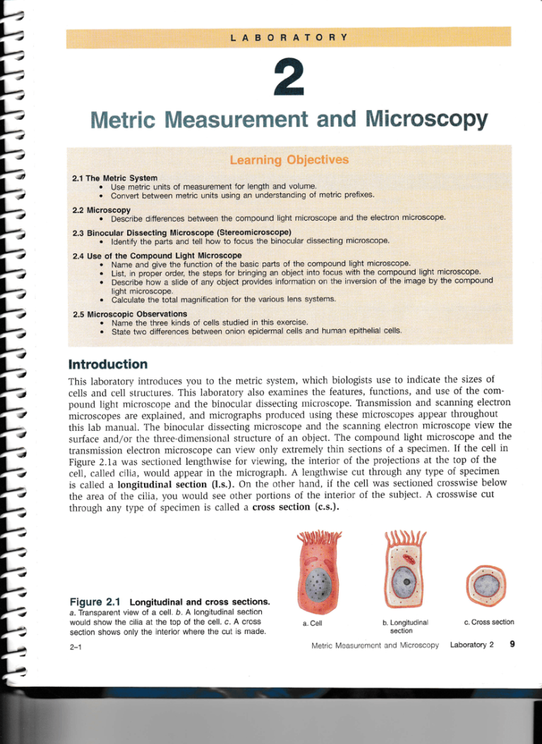 Color The Microscope Parts Worksheet Answer Key