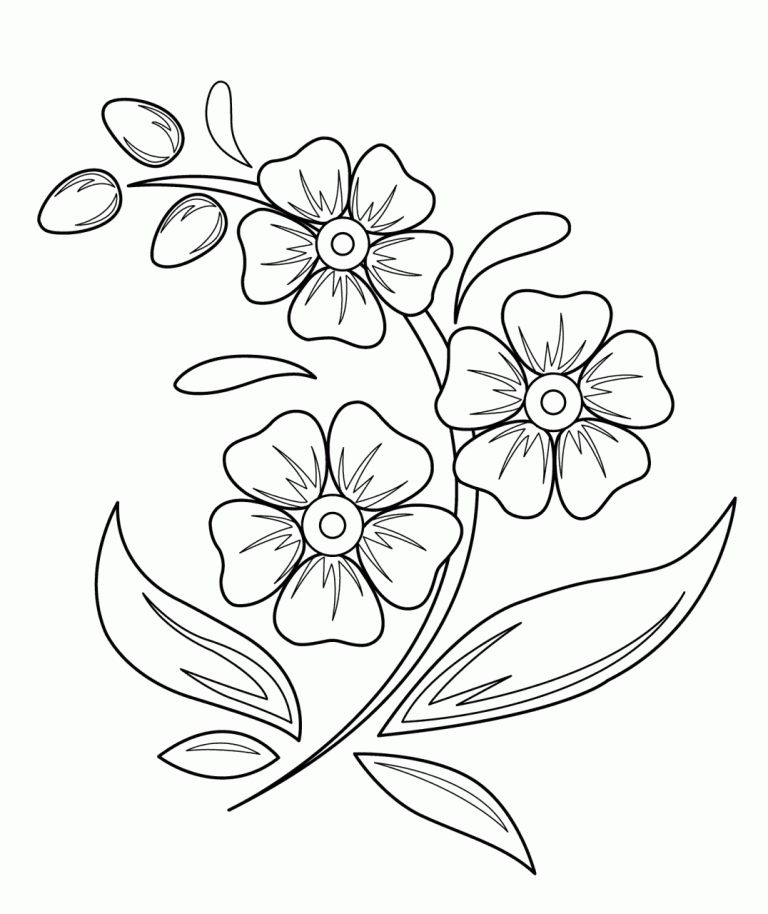 Flower Coloring Pages For Kids