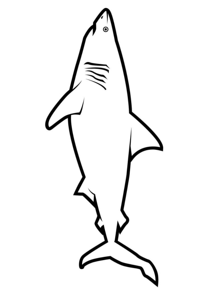 Shark Coloring Pages Realistic