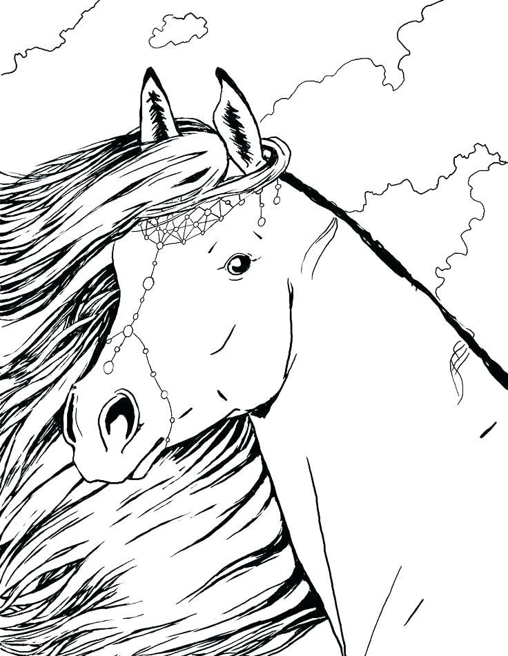 Coloring Page Horse Head