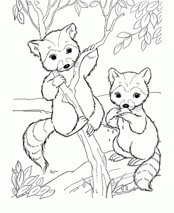 Wildlife coloring pages to download and print for free