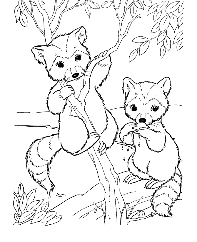Printable Wildlife Coloring Pages